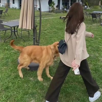 羊排